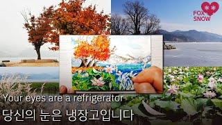 "당신의 눈은 냉장고입니다" 양평 두물머리의 4계 여행 그림 | 4 Seasons of Yangpyeong Dumulmuri "Your eyes are a refrigerator"