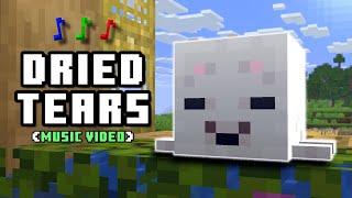 "Dried Tears" - A Minecraft Parody of Amos Roddy's "Tears" (Music Video)