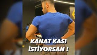 Kanat kası istiyorsan ?