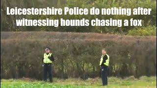 Fox hunted in front of Leicestershire Police