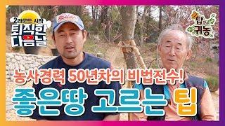 농사 50년 차 만랩이 알려주는 토마토 농사 노하우