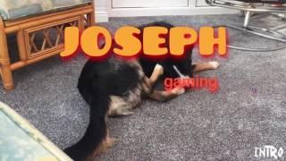 my new intro || Josephgaming TV