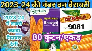 मक्का की नंबर वन वैरायटी।2023-24 मचाएगी तहलका। 60 कुंटल/एकड़।corn farming #DKC9081/@pmfarming1349