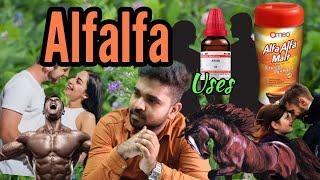 Alfalfa Q Uses | Increase Weight & Energy Desire | Homeopathic medicine | Dr.Christant leo