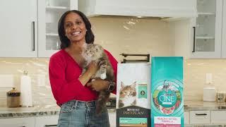 Purina Kitten Food, Providing a Lifetime of Healthy Nutrition