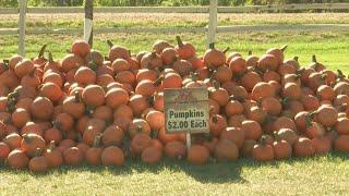 Berry Acres Open