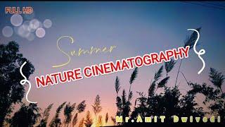 Nature Cinematography || Created By Mr AmiT Dwivedi ||