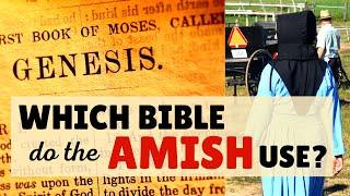 The 2 Bibles Amish Use (& Other Books)