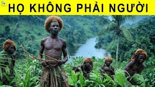 Khám phá kinh hoàng ở Congo khiến cả thế giới khiếp sợ | Thiên Hà TV