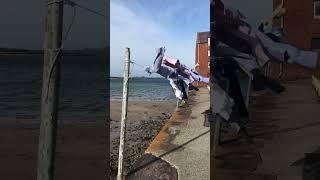 North Berwick, washing line, East Lothian, Scotland