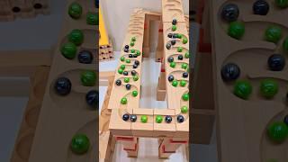 Renesmee's Epic Marble Run ASMR: Cuboro Wooden Track & Haba Magic 🪵