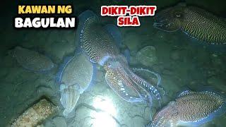 NATAGPUAN KO ANG KAWAN NG BAGULAN | NIGHT SPEARFISHING