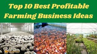 Top 10 Best Profitable Farming Business Ideas