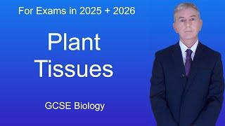 GCSE Biology Revision "Plant Tissues"