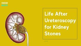 Life After Ureteroscopy for Kidney Stones