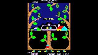 Birdiy [Arcade Longplay] (1983) Mama Top