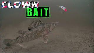 Do Bigger Baits CATCH Bigger Fish Ice Fishing? Underwater Footage