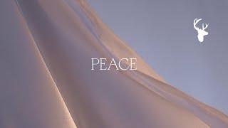 Peace (Official Lyric Video) - Bethel Music feat. We The Kingdom | Peace