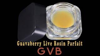 First Impressions - Greybeard & Hashlabs - Guavaberry (GVB) Live Rosin Parfait