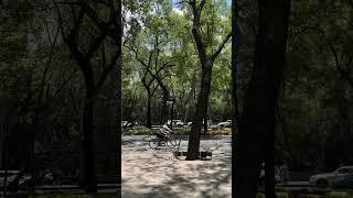 Lost in the middle of nature  | México City | Nature