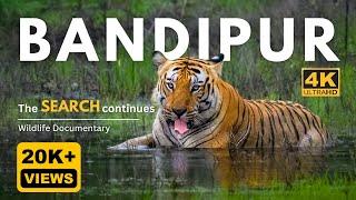 The Search continues ! | Bandipur Tiger Reserve - Episode 2 | 4K UHD | Wildlife Documentary