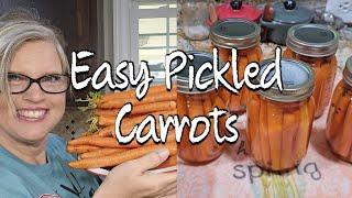 Easy Pickled Carrots ~ A Beginners Guide to Canning