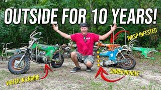 We Bought 6 Abandoned Honda CT70s for $1,000! Will they Run and Ride 100 Miles?