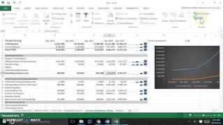 Whole Foods Market Income Statement_Financial Analysis