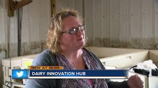 'We must act now': Wisconsin is losing dairy farms at an alarming rate