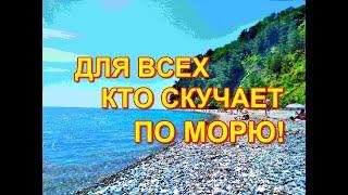 ДЛЯ ВСЕХ, КТО СКУЧАЕТ ПО МОРЮ! ТУАПСЕ,ДИКИЙ ПЛЯЖ!