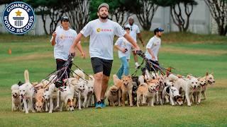 Most Dogs Walked At Once - Guinness World Records