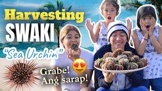 Harvesting Swaki | Melason Family Vlog