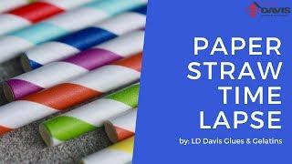 Paper Straw In-House Experiment & Time Lapse | LD Davis Glues