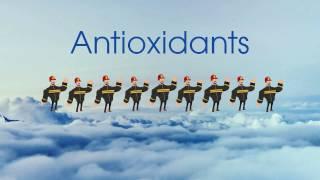 How do antioxidants keep you healthy?