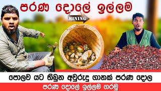 මැණික් පතල්  පරණ දොලේ  ඉල්ලම ගරපු ගැරිල්ල | Gem Sri lanka How to find gemstones | Gems Mining Tips