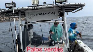 Palos verdes ,pesca , fishing