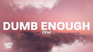 Feni - Dumb Enough (Lyrics) "sip patron but this aint got me drunk enough" [TikTok]