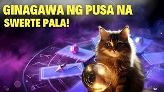 6 na Ginagawa ng PUSA na May Lihim na Kahulugan at Swerte!