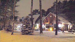 Snowy White Christmas Night Lights and Cozy Homes in Forest Toronto | 4K Relaxing Snow Falling video