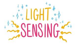 micro:bit light sensing