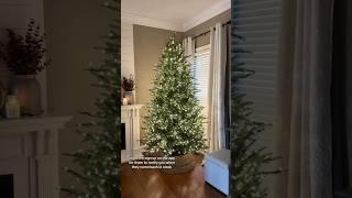 HOME DEPOT VIRAL GRAND DUCHESS BALSAM FIR CHRISTMAS TREE