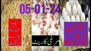 05-01-2024= broiler rate| Today egg rate |Today chicks price|Today poultry rate| today chicken rate