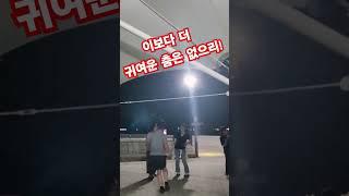 꿈의대화 (대학가요제  대상1980) #통기타썬 #힐링 #7080 #감성 #그리움 #버스킹 #추억의노래 #거제도 #버스킹#거제도버스킹 #꿈의대화 #귀여운춤#행복#거제도여행