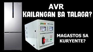 Do Refrigerators Need AVR? Automatic Voltage Regulator PANASONIC Refrigerator OMNI AKARI Demo Review