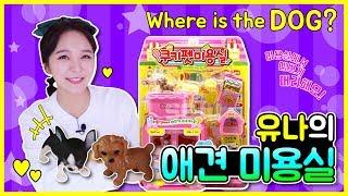 [키즈영어 놀이터] 강아지들과 애견 미용실 소꿉놀이 공놀이 쿠키펫 역할놀이 유아영어