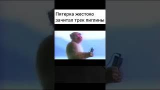 мем пятерка #мем #мемы #пятёрка #юмор #смех #мемтикток тик ток мем #тикток