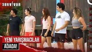 YENİ YARIŞMACILARIN TAKIMLARI BELLİ OLDU! | Survivor 2023 4. Bölüm