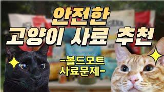 볼드모트 사료 말고 안전한 고양이사료는?사료 추천 이 영상으로 싹 정리/고양이사료추천/고양이사료 고르는 법/고양이급사/고양이 근육병증/고양이사료문제/고양이돌연사/고양이폐사/