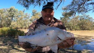 Yellowbelly Fishing from the River Bank