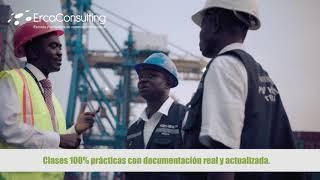 CURSO DE NOMENCLATURA VALORACION Y TRIBUTACION ADUANERA - ERCA CONSULTING